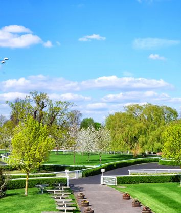 Kempton Venue Hire Clubhouse Lawn